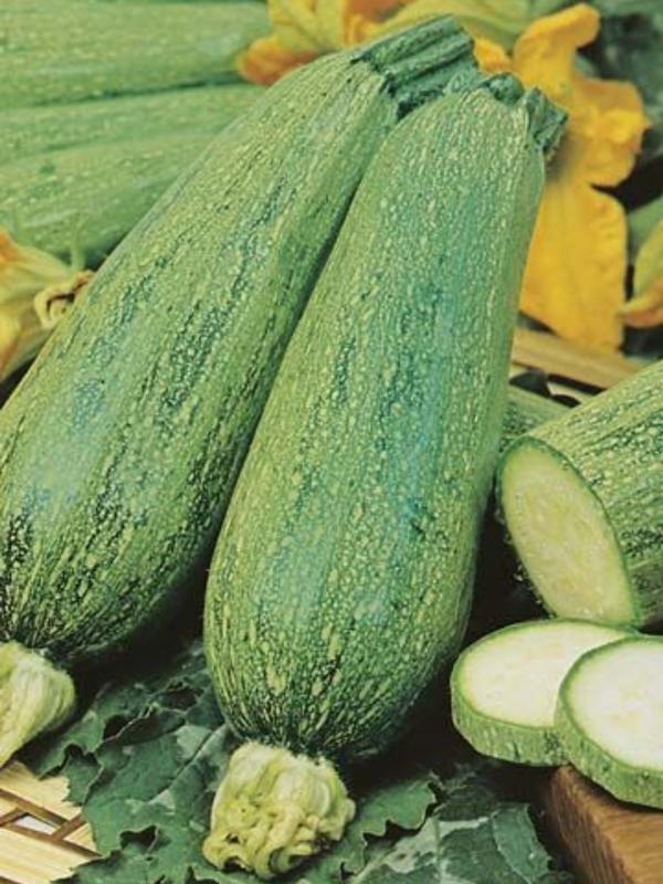 Mr Fothergills Zucchini Lebanese