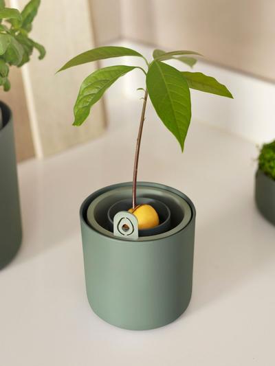 Elho Avocado Pot Leaf Green