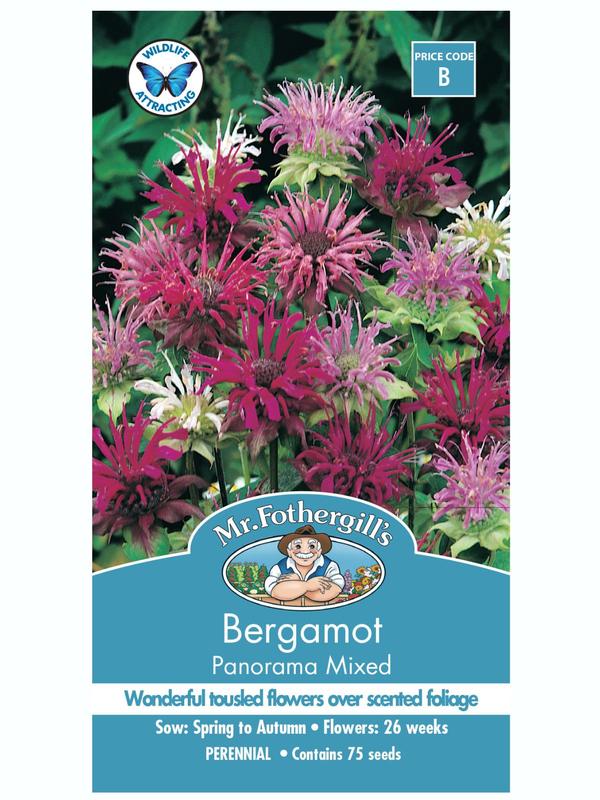 Mr Fothergills Bergamot Panorama