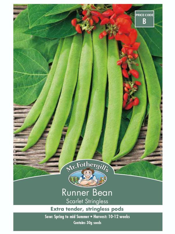 Mr Fothergills Runner Bean Scarlet Stringless