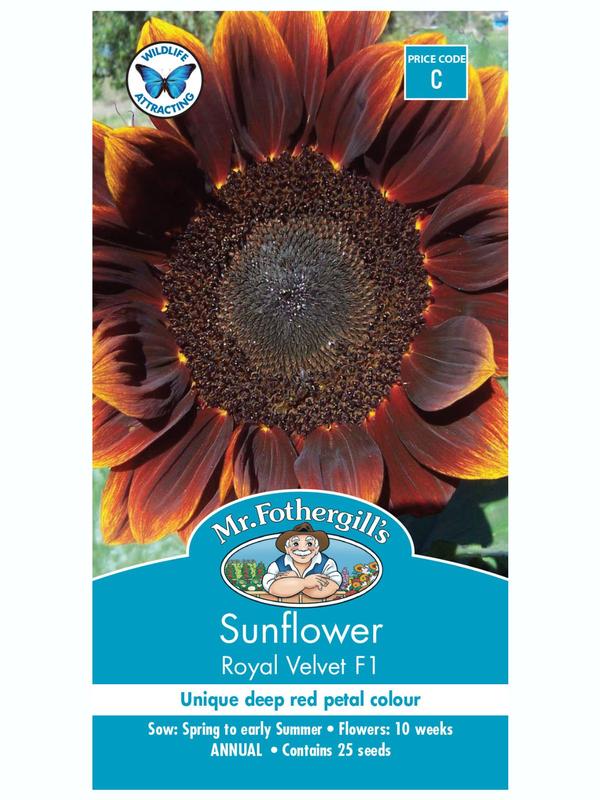 Mr Fothergills Sunflower Royal Velvet