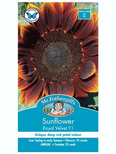 Mr Fothergills Sunflower Royal Velvet