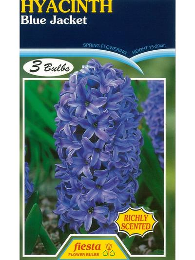 hyacinth Blue Jacket 