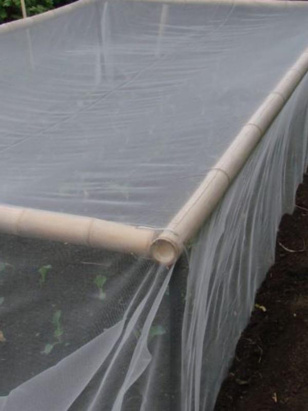 Cosio Bug Netting 4m Wide - Cut by the metre