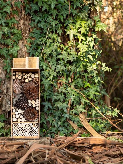 Oderings Garden Centres | DIY Bee & Bug Hotel