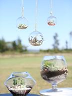 DIY Terrarium Tutorial