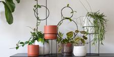 Houseplant Frames, Houseplant Stands, Houseplant Accessories