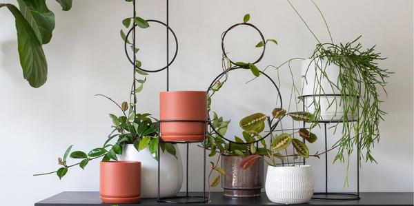 Houseplant Frames, Houseplant Stands, Houseplant Accessories