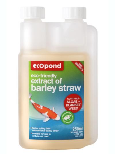 Extract of Barley Straw 250ml