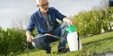 garden maintenance, Weeds