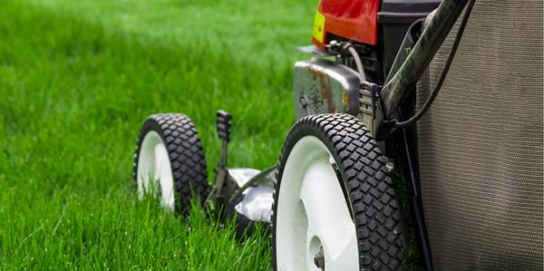 Lawn, Care, lawn care, lawncare products