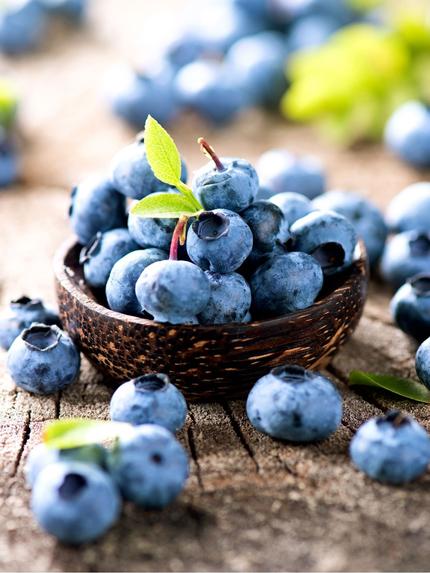 Oderings Garden Centres Growing Harvesting Blueberries