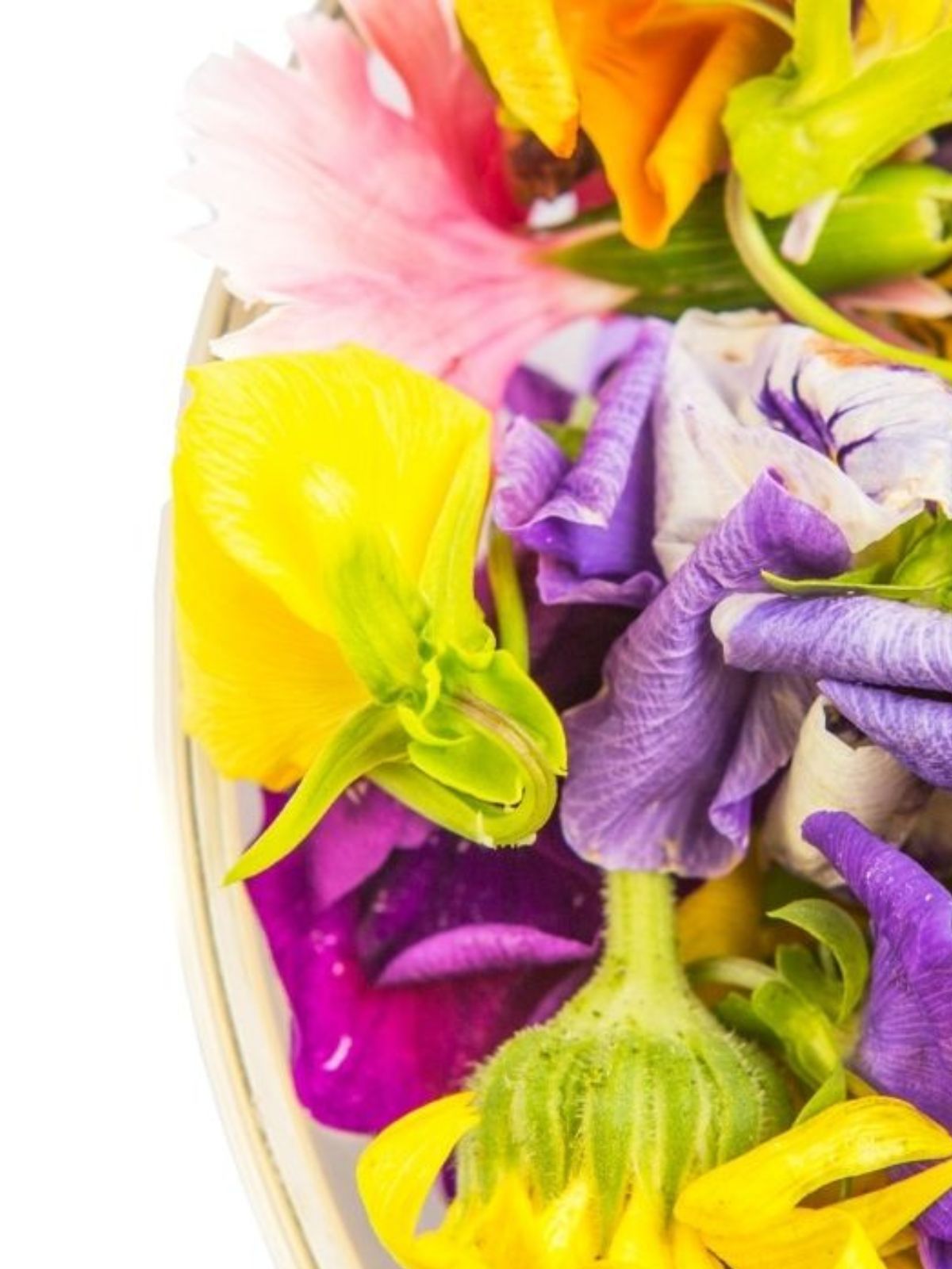 Edible Flowers