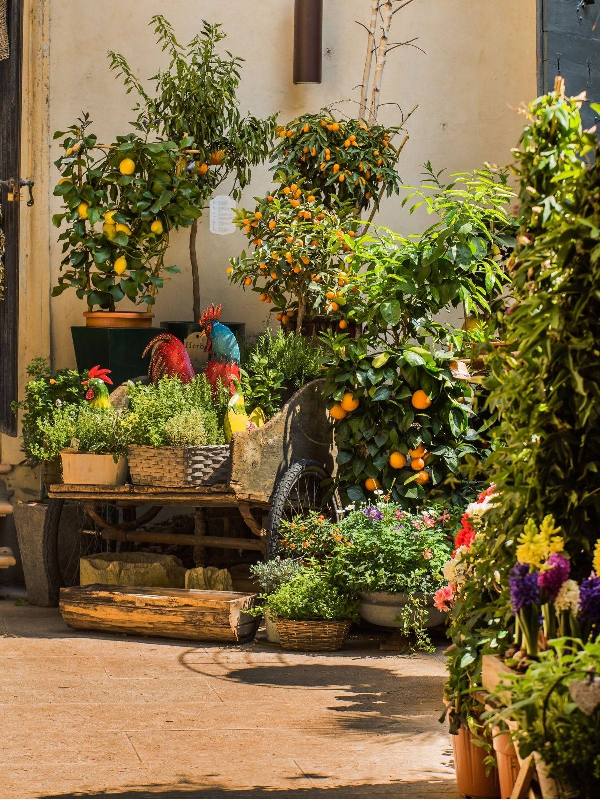 Foodscaping with Pots and Planters