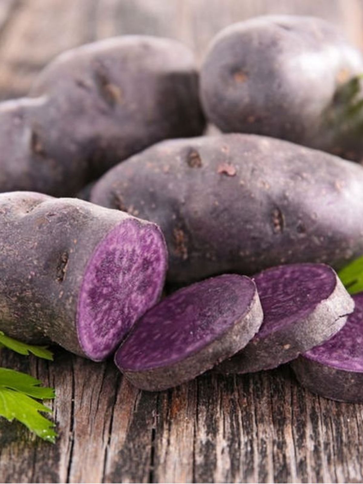 Growing Māori Potatoes