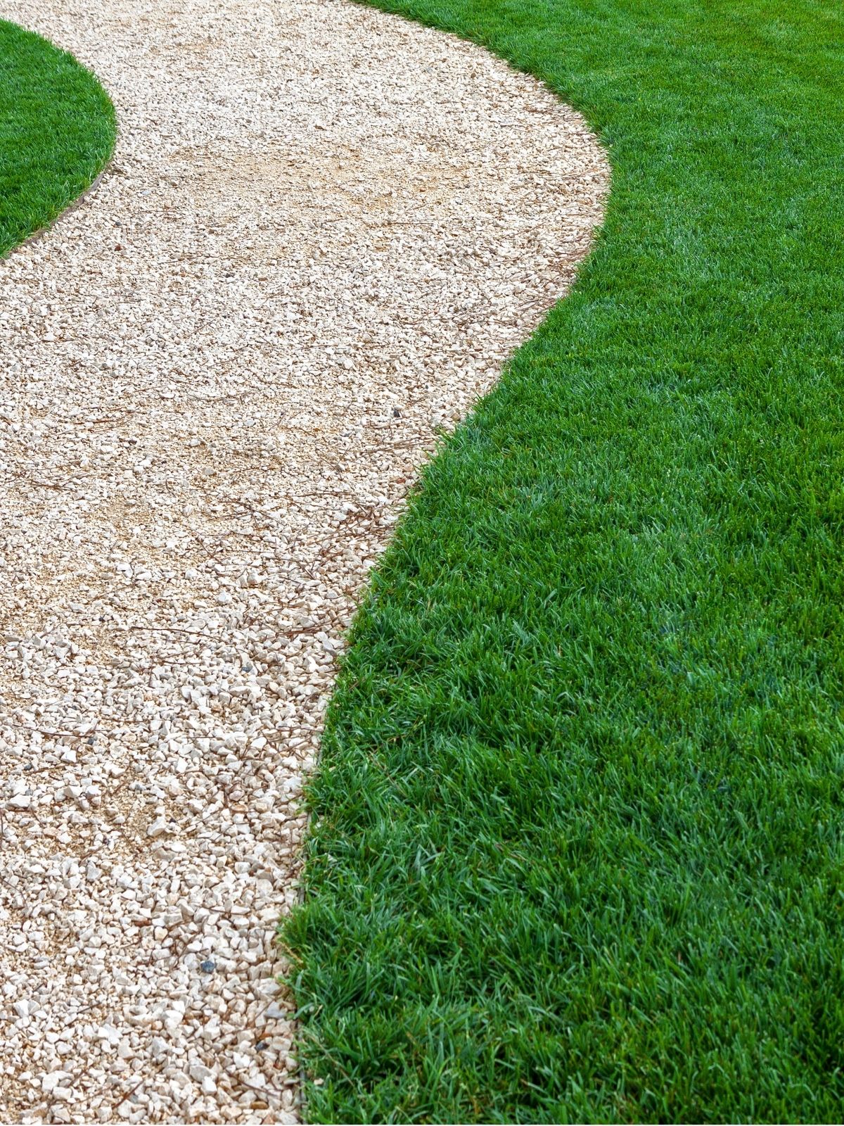 Preparing Your Lawn for the Seasons Ahead