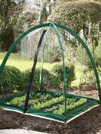 Protect Your Garden with Popadome