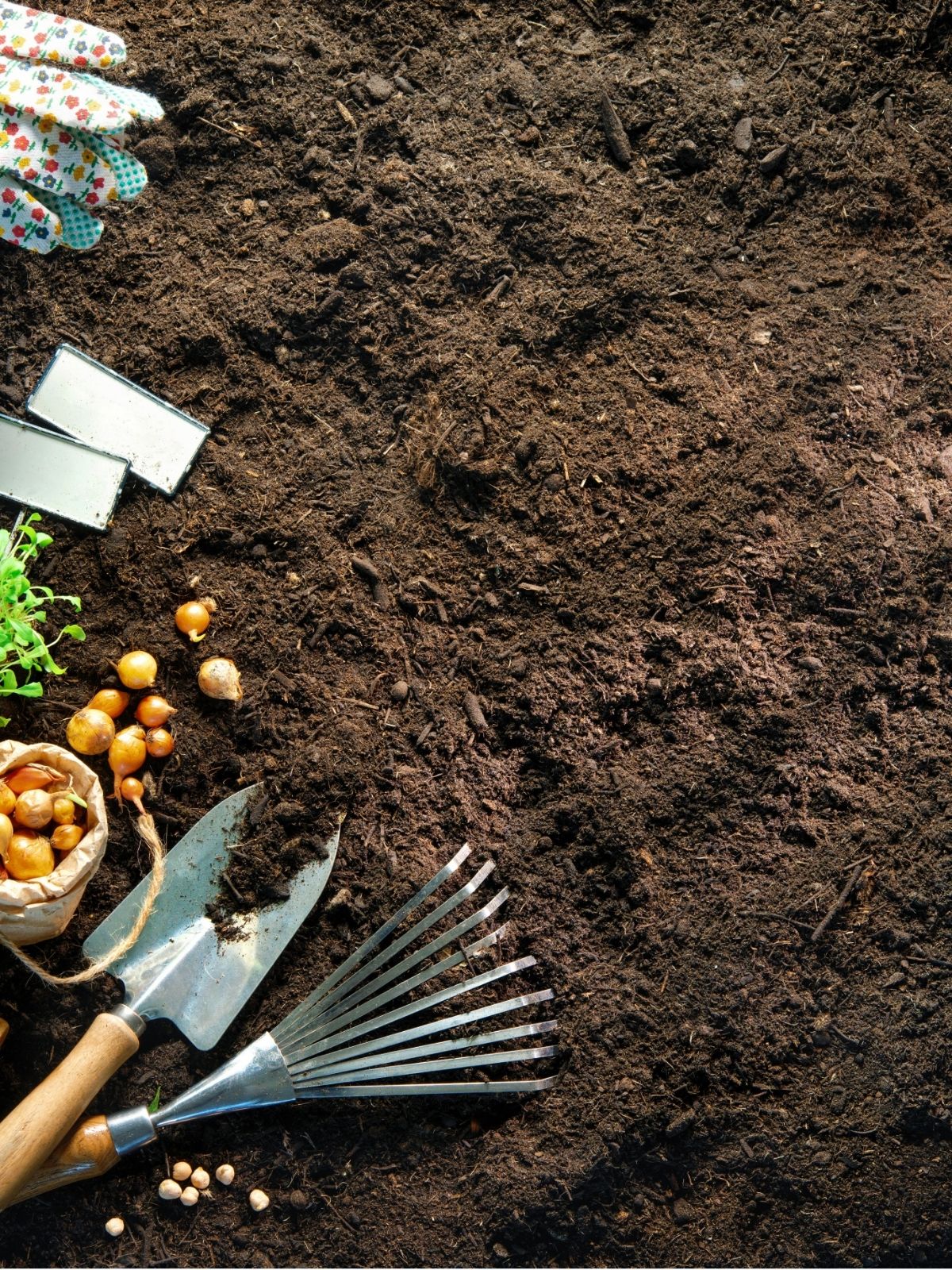 Soil Types Explained