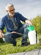 Lawn - Weed Control