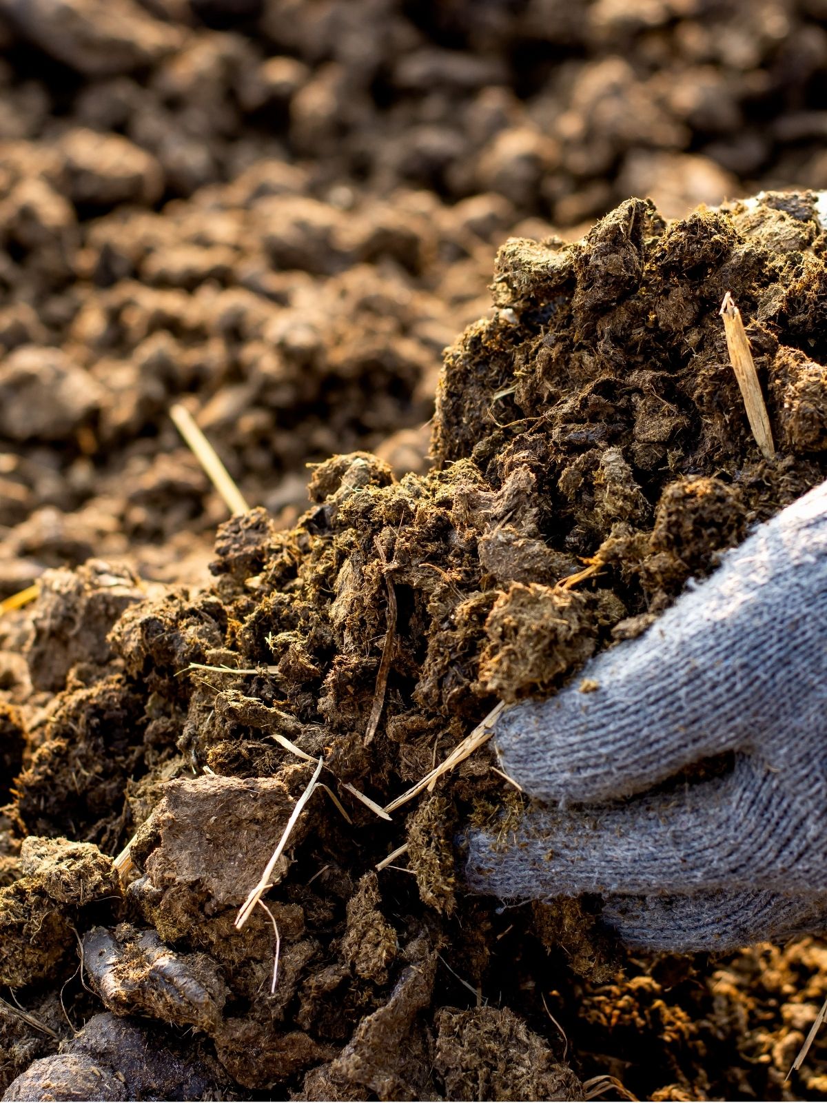 The Secrets in the Soil -Kick-start Healthy Soil for Spring