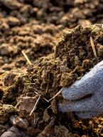 The Secrets in the Soil -Kick-start Healthy Soil for Spring