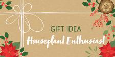 Xmas, Gift, Ideas Houseplant Enthusiast