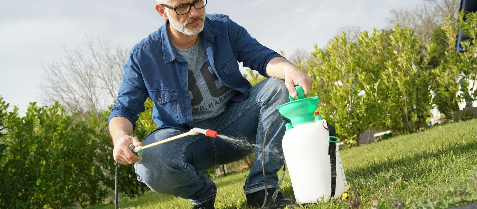 Preparing Your Lawn for the Seasons Ahead