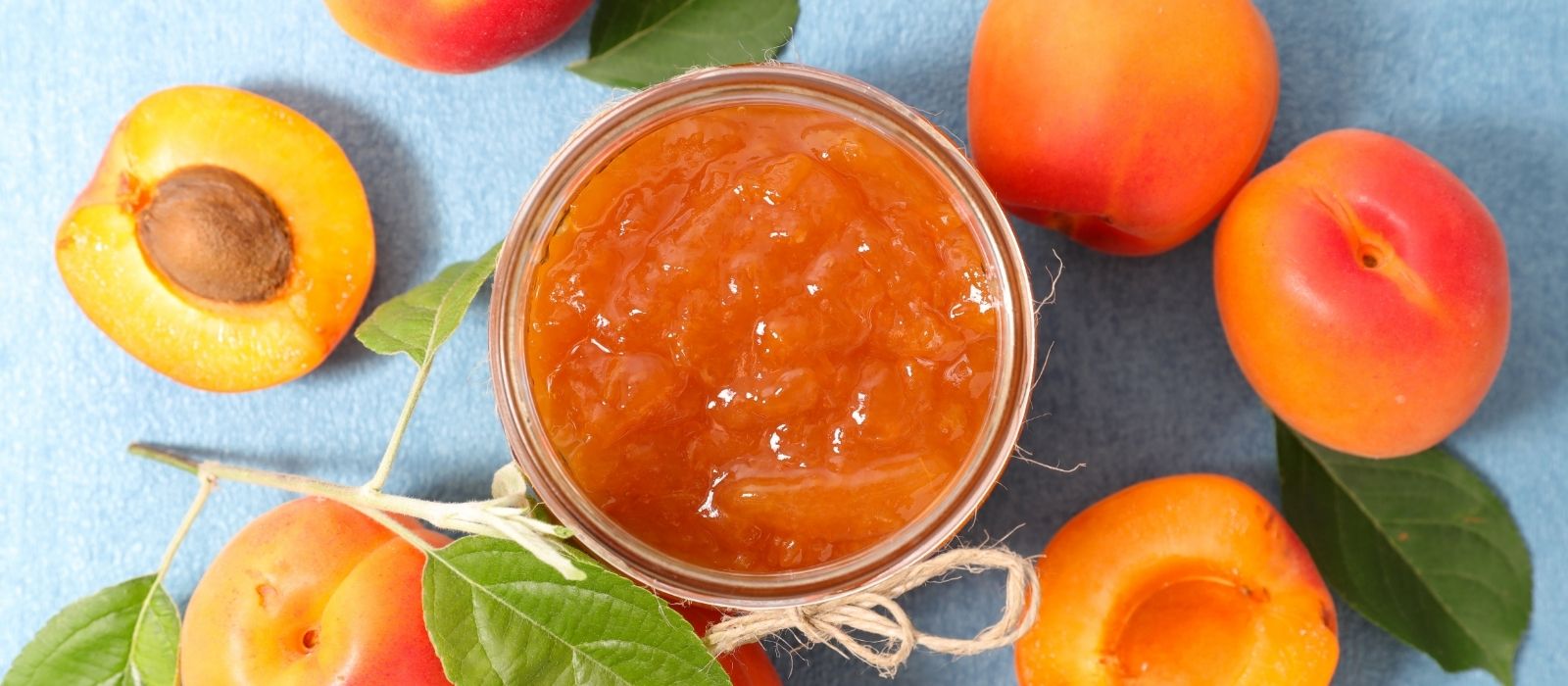 Apricot Sauce