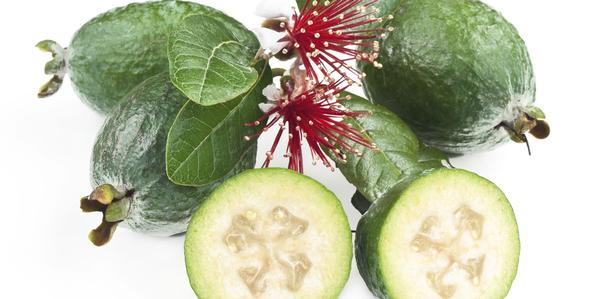 Fruit, Feijoas