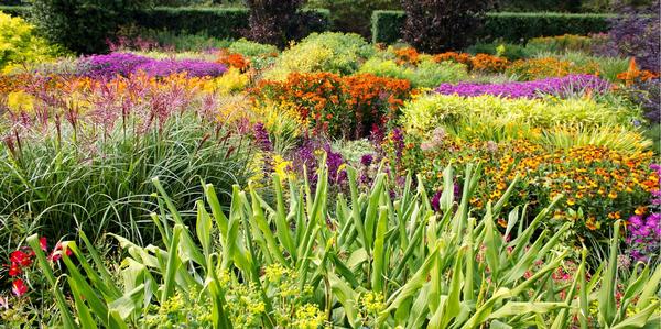 Perennial Oderings Cottage Garden