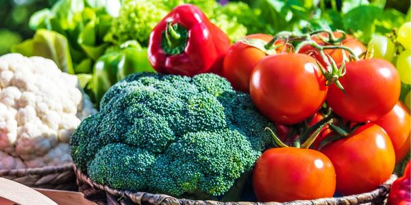 Vegetables, Seedlings