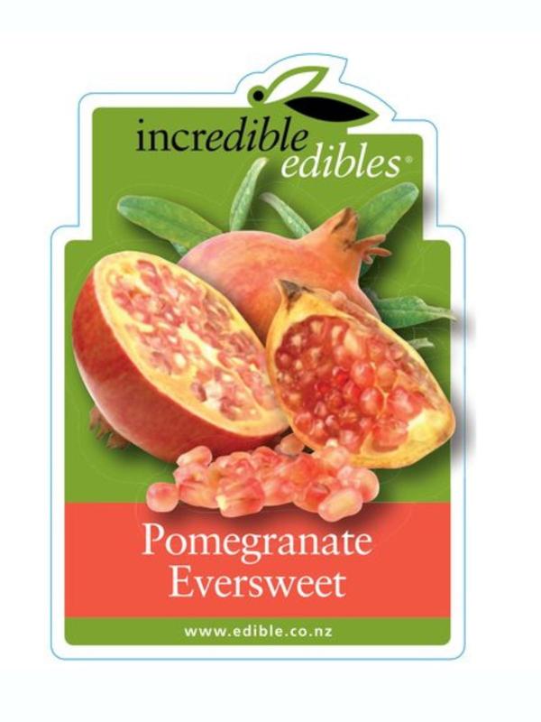 Pomegranate Eversweet