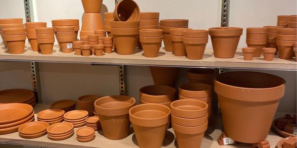 Terracotta Pots & Saucers