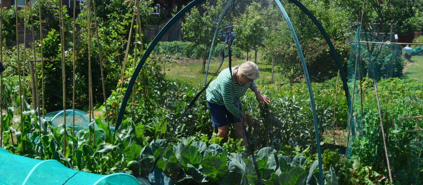 Protect Your Garden with Popadome