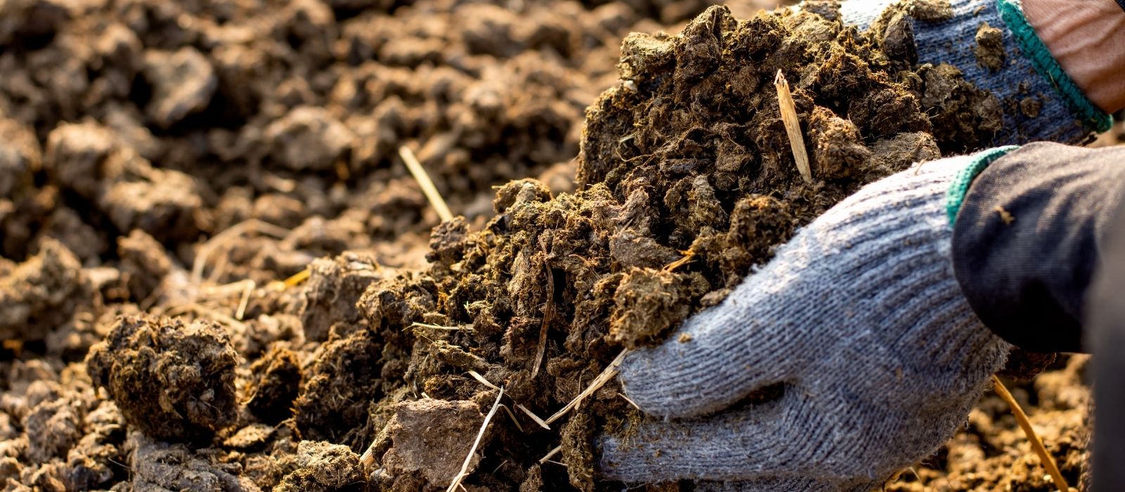 Oderings| The Secrets In The Soil -Kick-start Healthy Soil For Spring