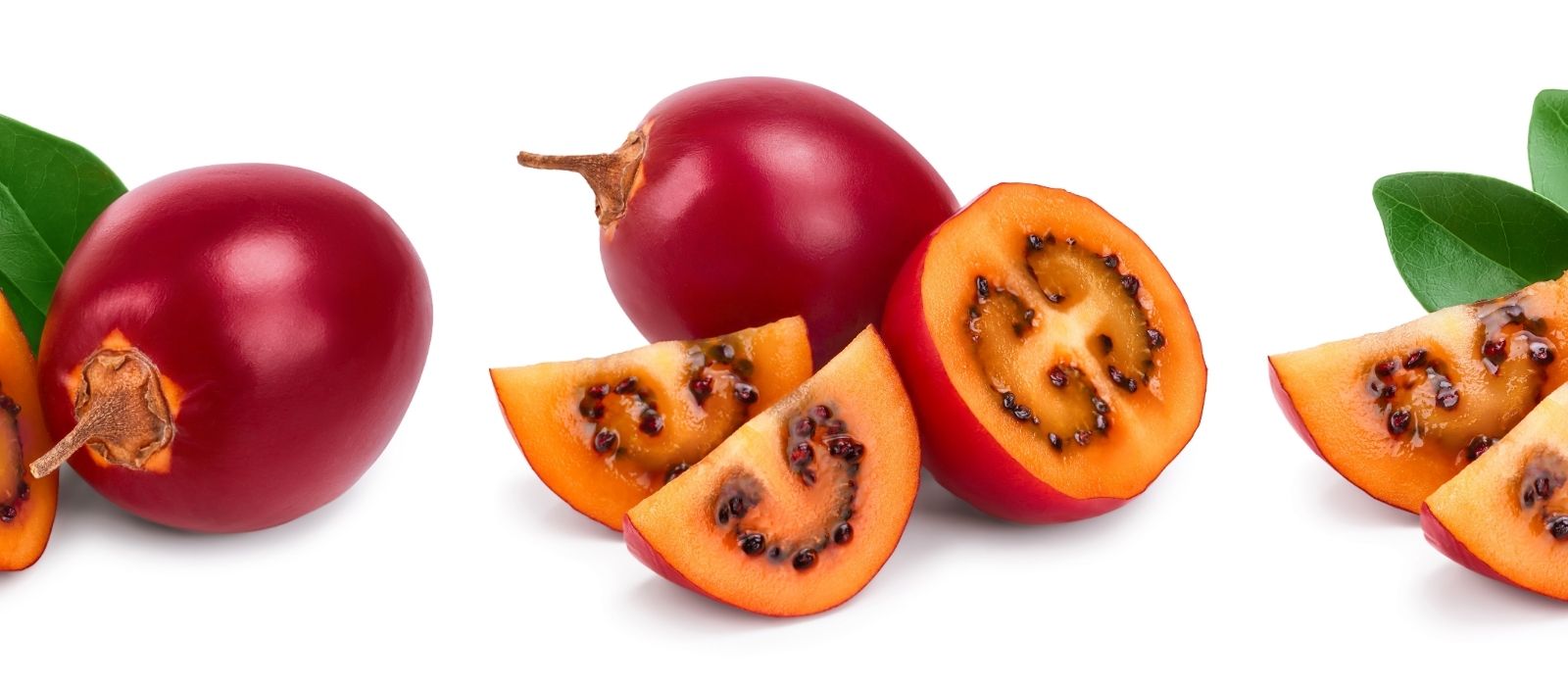 Tamarillo: Tree Tomato