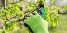 tools & gloves, making gardening safe