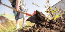 Large Tools, making gardening safe