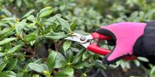 tools & gloves, making gardening safe