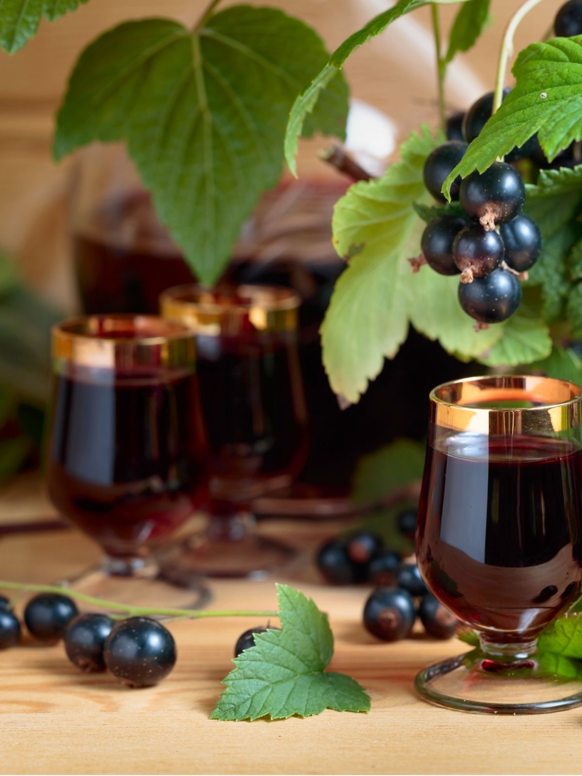 Blackcurrant Cordial