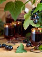 Blackcurrant Cordial