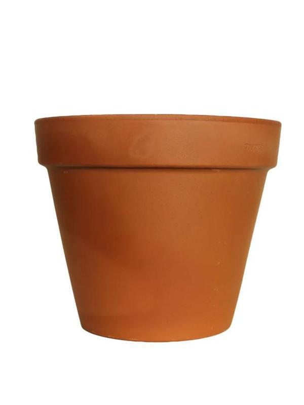 Leighs Vasi Stanard Pot 5cm 