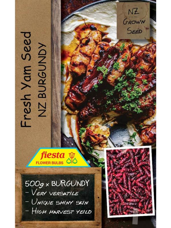 Fiesta Yam Seed - Burgundy 500gm