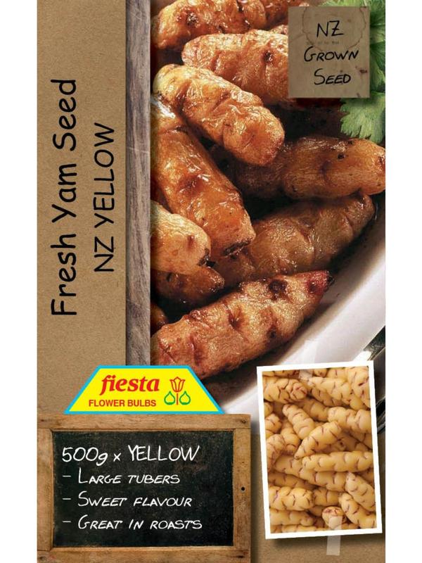 Fiesta Yam Seed - Yellow  500gm