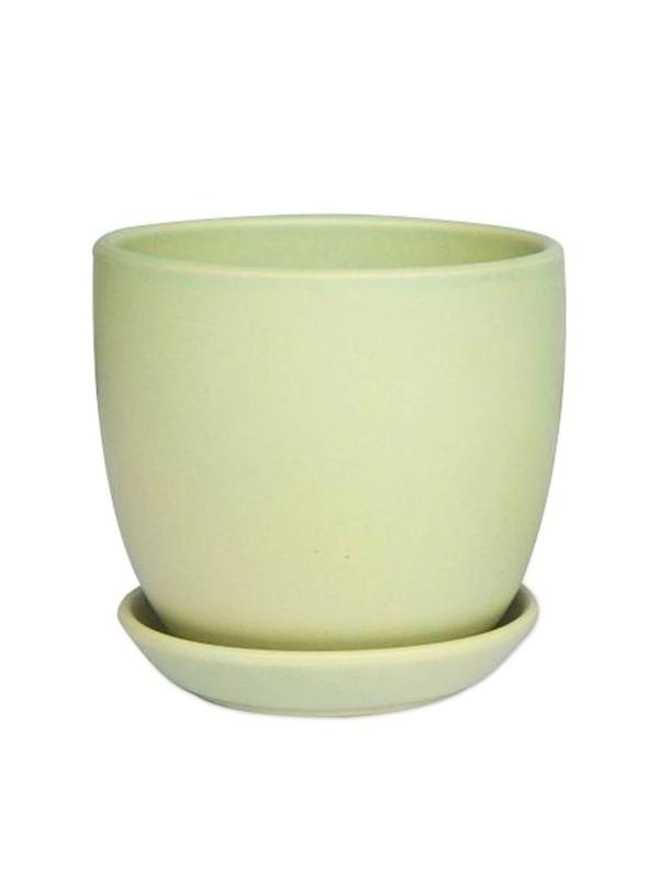 Mini Tulip Pot 9cm Green