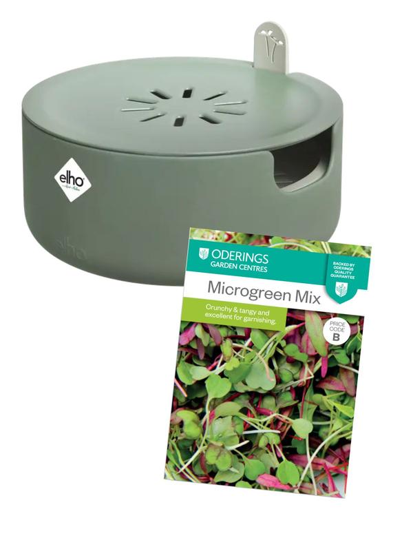 Elho Magic Microgreens Leaf Green & Oderings Microgreens Combo