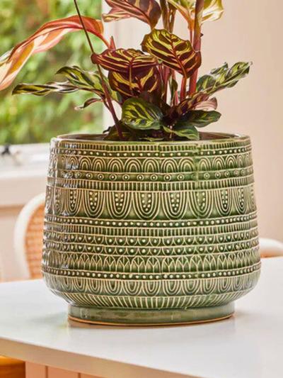 Northcote Henna Egg Cover Pot Medium