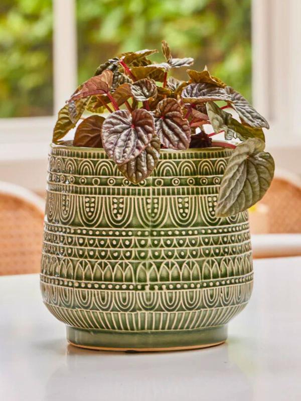 Northcote Henna Egg Cover Pot small