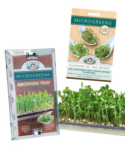 Mr Fothergills Microgreen Growing Tray & Orient Flavours Microgreens