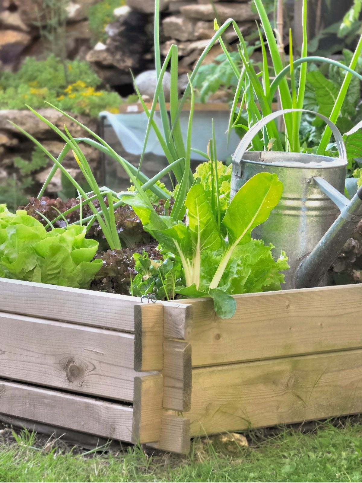 Square Foot Gardening